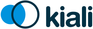 Kiali Logo